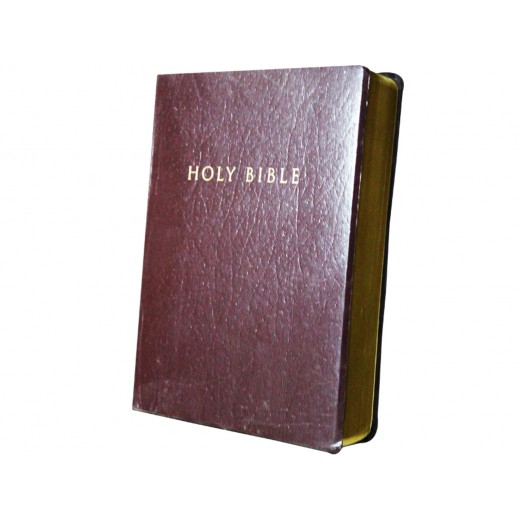 HOLY BIBLE