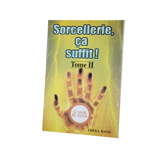 SORCELLERIE CA SUFFIT ! TOME II	